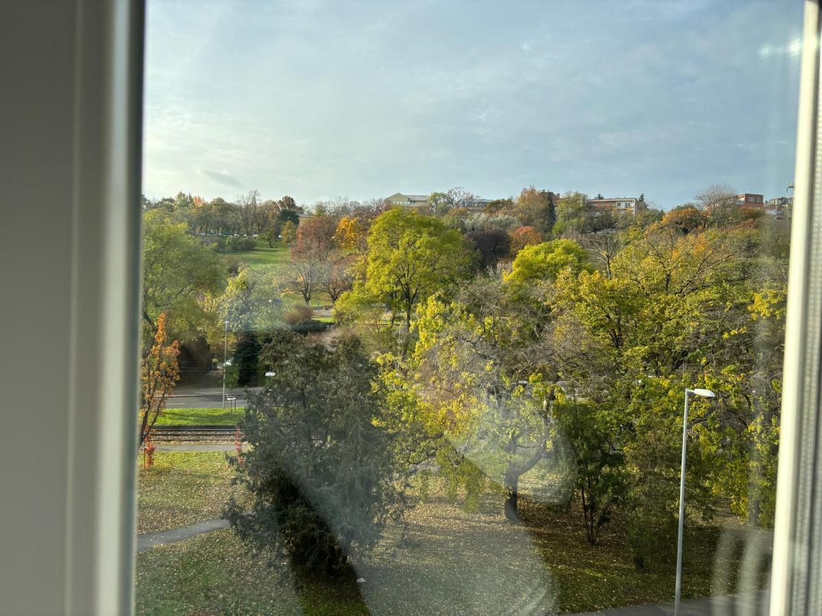 Cozy Panorama Apartment Next To The Buda Castle Budapest Luaran gambar